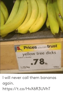 tree dicks