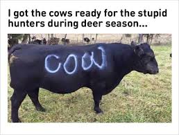 cow