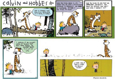 Calvin and Hobbes Sense of Humor