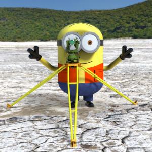 Minion surveyor 1