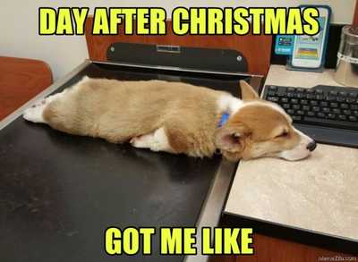 The day after christmas got me like meme 8880