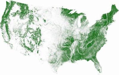 tree cover visualized photo u1 51528