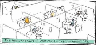 Take Cat To Work Day