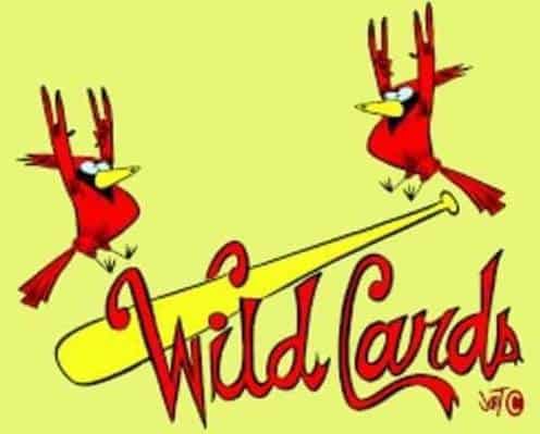 WildCards