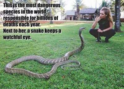 snake and woman