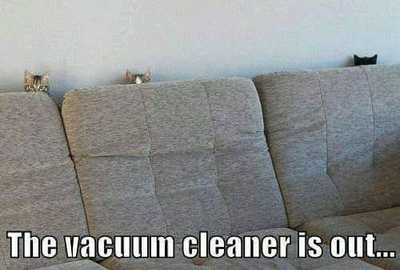 vacuum