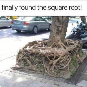 SquareRoot