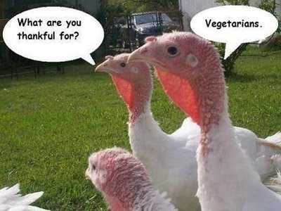 Turkey Vegetarians