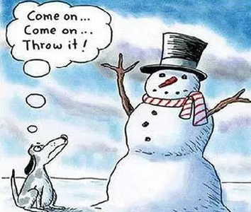 Snowman Throw it