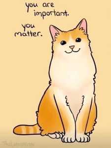 YouMatterCat