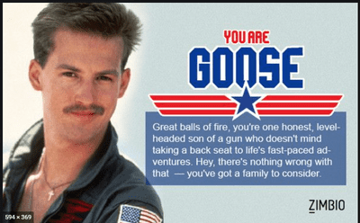 goose