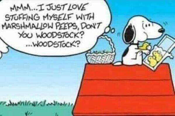 Woodstock