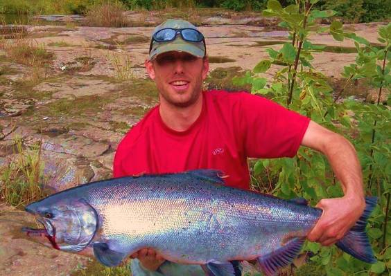 alsea chinook