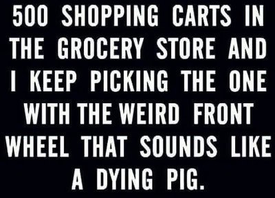 shopping cart