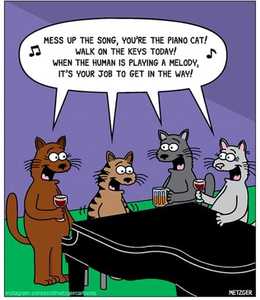 BillyJoelCats