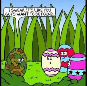 Camoflauge Egg Funny