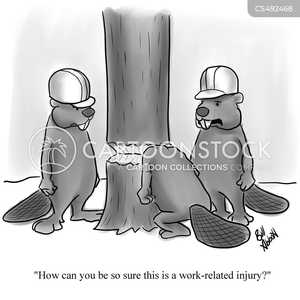 animals safety beaver wildlife lumberjacks hazard babn1679 low