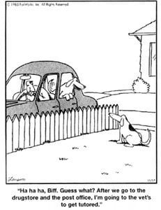 far side dogs tutored