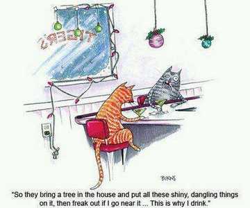 Cat Christmas Funny