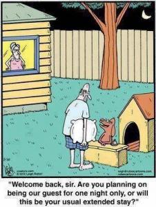 DOGHOUSE