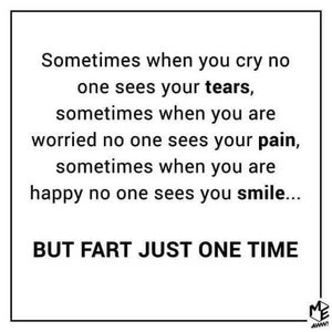 fart2