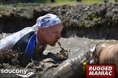 mud crawl