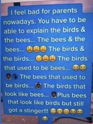 bees