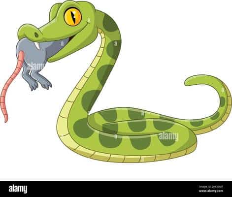 cartoon green snake eating a mouse 2AK50M7