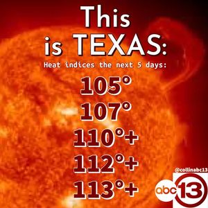 Texas 2020 Summer 2nd week of july