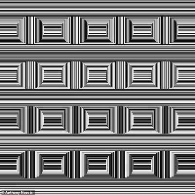 71408947 12124603 Do you see circles or squares The Coffer Illusion was created by a 9 1685028923145