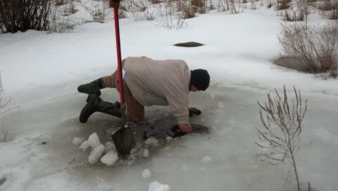 Surveyor measuring ice thickness on frozen water body for land surveying.