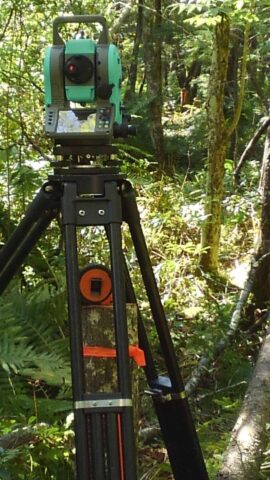 Theodolite on tripod in dense forest for land surveying.