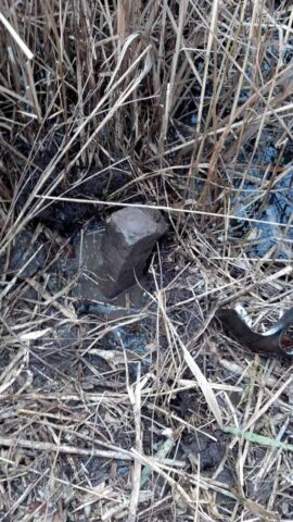 Land survey marker partially hidden in dry grass and reeds.