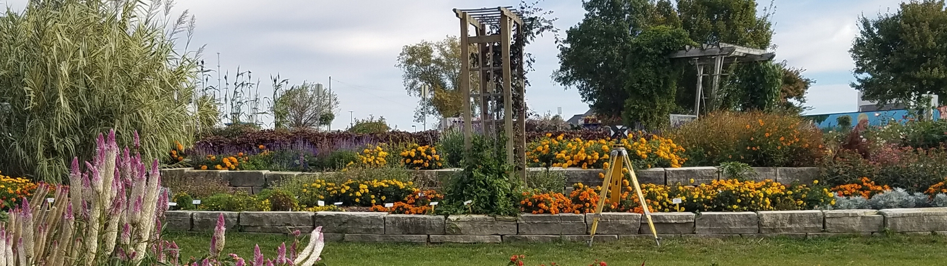 Rpls gallery garden backsight
