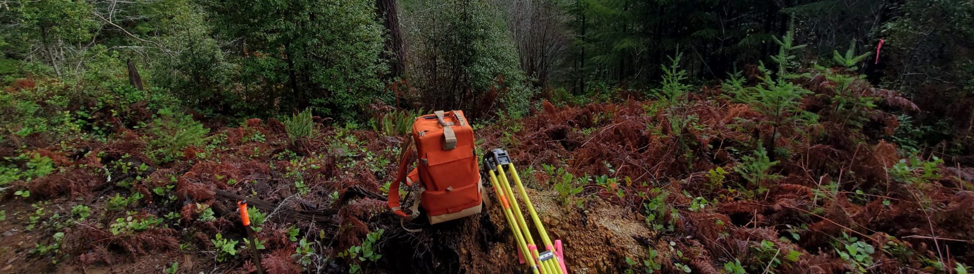 Rpls gallery mountain transit tripod