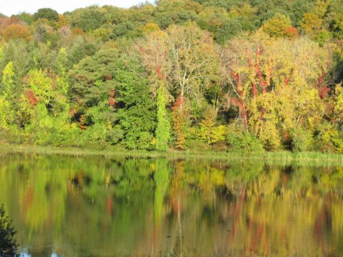 Colorful autumn trees reflected in a calm lake surface.