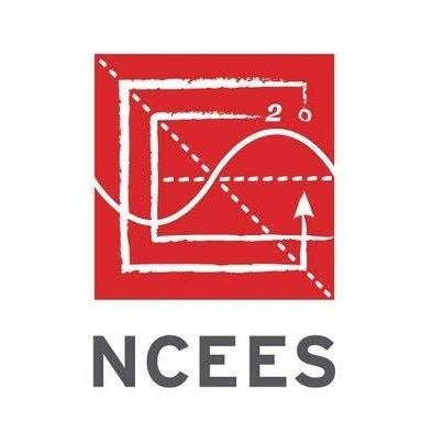 NCEES logo with survey graph and geometric lines.