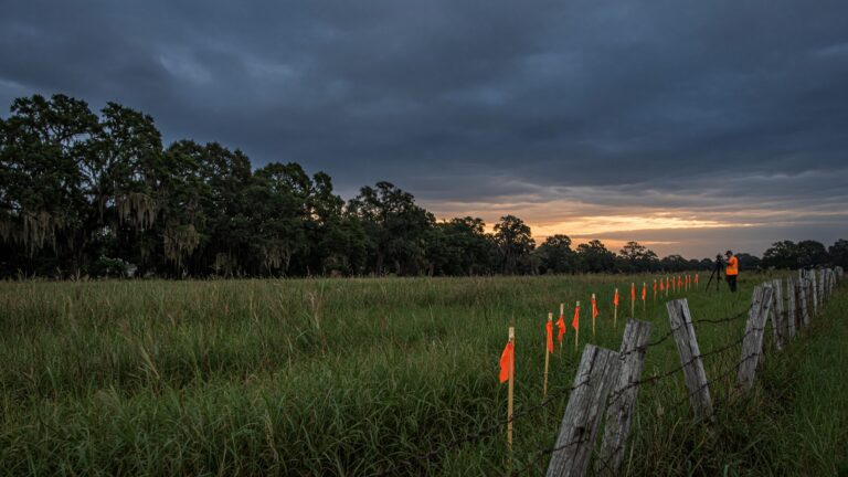 Land survey markers and fence line at sunset in Louisiana.