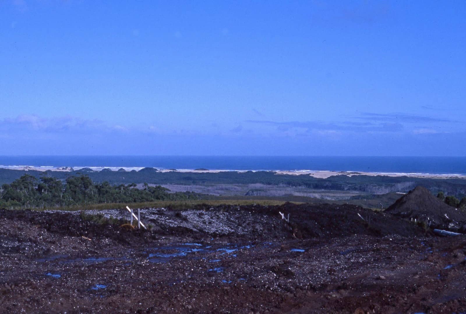 WEST_COAST_021_E.jpg