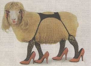 Sheep_in_lingerie.jpg