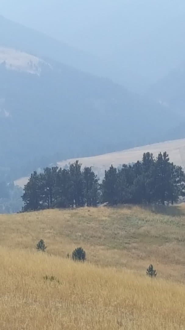 Resized_20170823_152945.jpeg