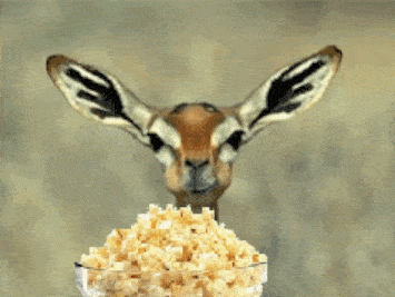 popcorn.gif
