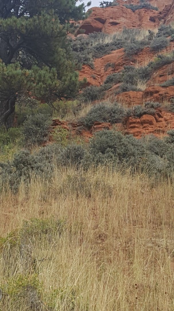 cliff.jpg