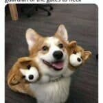 DLG