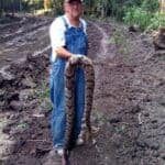 hillbilly